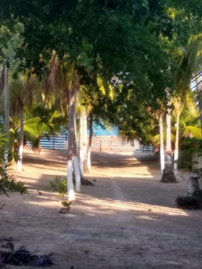 Casa com 4 Suítes Beira Mar - Peroba Maragogi
